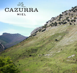 cazurra-miel-08